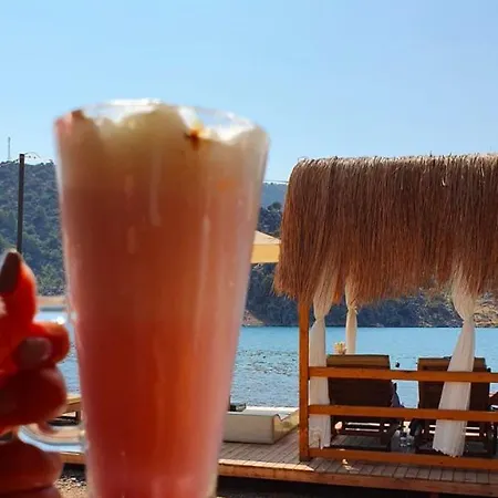 Oda ve Kahvaltı Asil Orhaniye