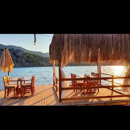 Oda ve Kahvaltı Asil Orhaniye